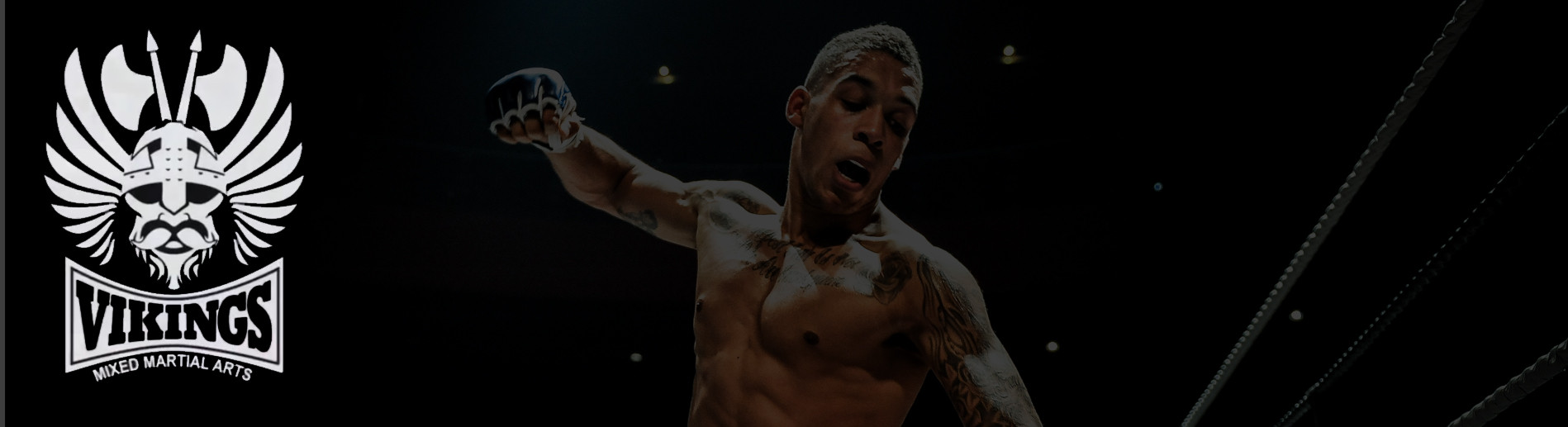 Vikings MMA photo 1