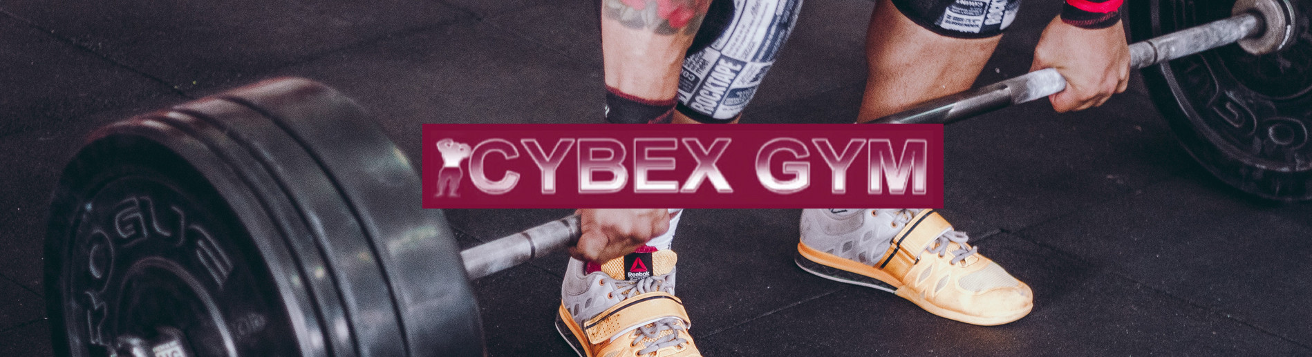 Cybex Gym photo 1