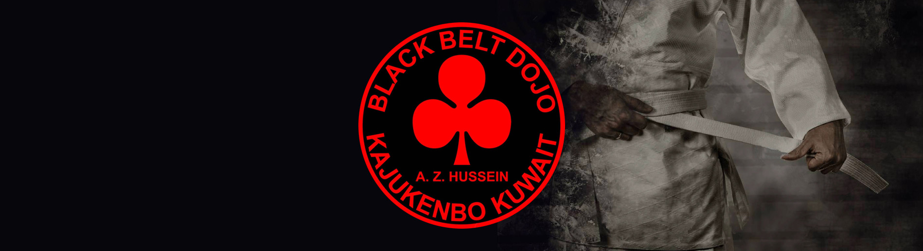 Black Belt Dojo photo 1